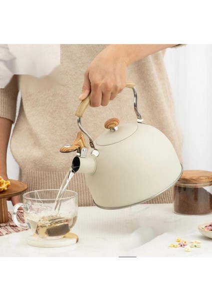 Paslanmaz Çelik Düdüklü ve Demlik, 2,5L, Dayanıklı ve Şık Tasarım fırsatları