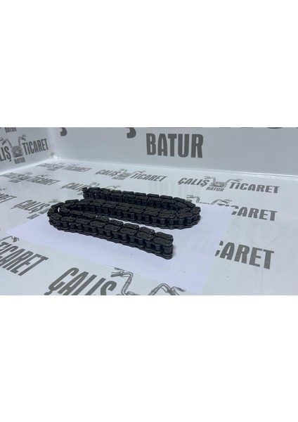 C100 Zincir 428H - 110L Oringli