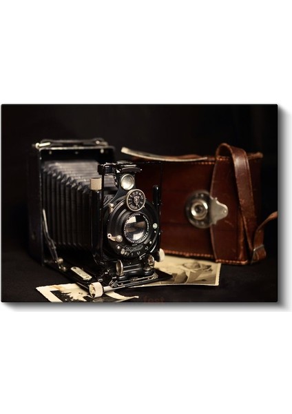 Körüklü Fotoğraf Makinesi - Deri Çantalı Klasik Model Kanvas Tablo fiyatları