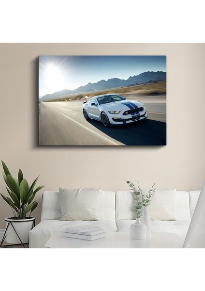 Hızlı Çizgiler - Ford Mustang GT350 Kanvas Tablo