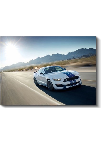 Hızlı Çizgiler - Ford Mustang GT350 Kanvas Tablo fiyatları