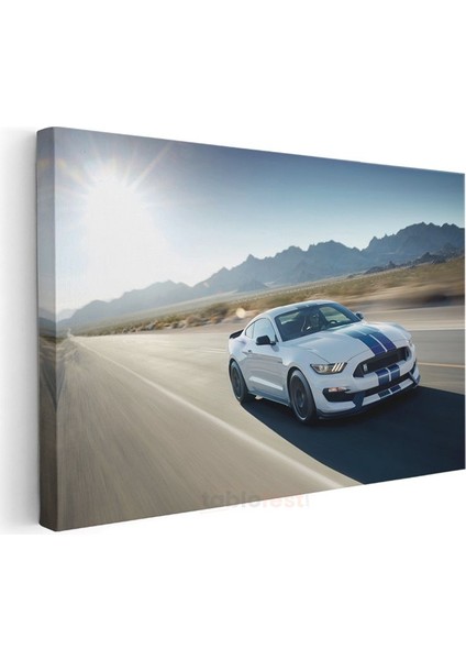 Hızlı Çizgiler - Ford Mustang GT350 Kanvas Tablo modelleri