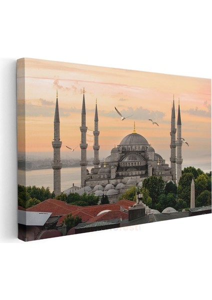 Sultanahmet Camii - Gün Batımında Martılar Kanvas Tablo