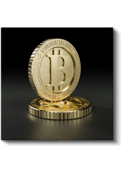 Finans Danışmanı - Bitcoin Yatırım Stratejisi Kanvas Tablo