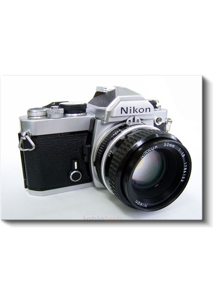 Klasik Nikon - Fotoğrafçılık Tarihinden Kanvas Tablo fiyatları