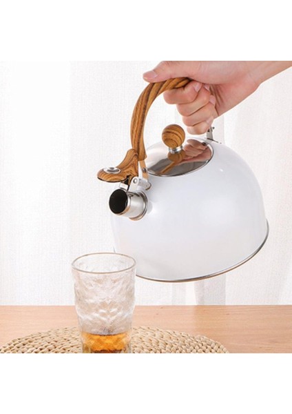 Paslanmaz Çelik Öten Düdüklü 2.5 Litre Demlik