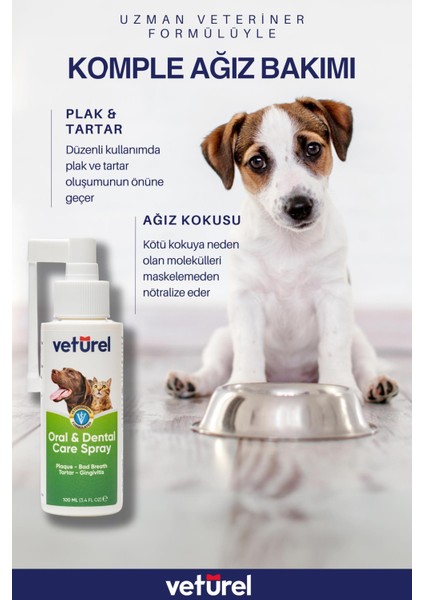 Kedi Ağız Bakımı Kedi Aknesi Siyah Nokta Kedi Diş Fırçası Plak Tartar Silikon Fırça Pratik Set