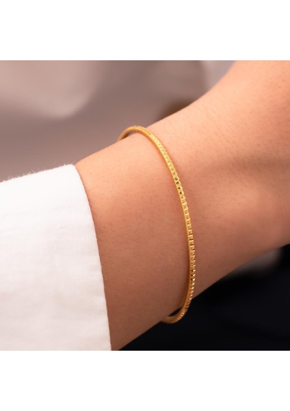 6 Gr (Gram) 22 Ayar Ajda Desenli İşçiliksiz Yatırımlık Bilezik