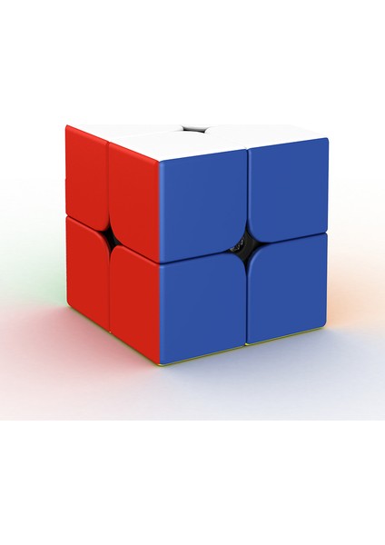 RS2M Stili Moyu Rsx4 RS3M RS2M 2x2 Manyetik Küp Rs Cubingclassroom Profesyonel 3x3 Hız Küpü Rs4 M Bulmaca Magicocubo (Yurt Dışından)