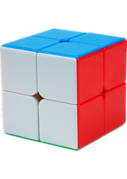 4x4 Stili Shengshou Efsane 2x2 3x3 4x4 5x5 Etiketsiz Sihirli Küp Oyun Profesyonel Bulmaca Döner Pürüzsüz Oyuncaklar Için Çocuklar Için (Yurt Dışından)