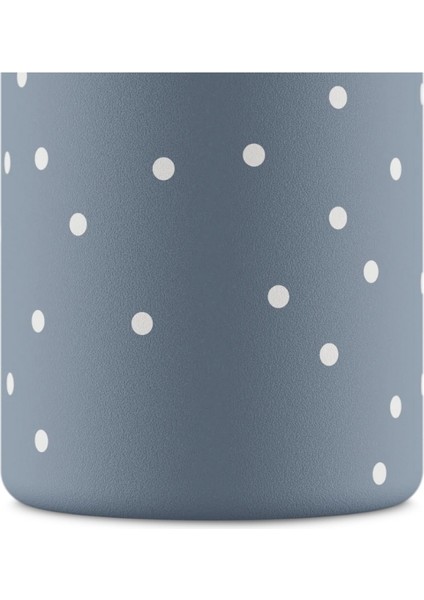 Kids Bottle Happy Penguin Paslanmaz Çelik Çocuk Su Matarası 250 ml fırsatları