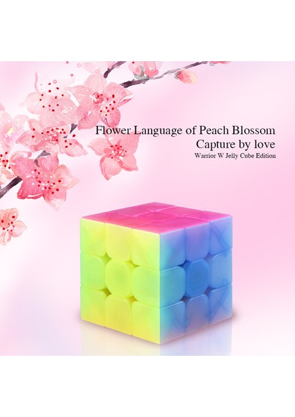 Tekerlek Stili Yeni Qiyi Axis Magic Cube Jöle Renkli 2x2 3x3 4x4 5x5 Anahtarlık Piramit Profesyonel Hız Küpü Çocuklar Eğitici Oyuncak (Yurt Dışından)
