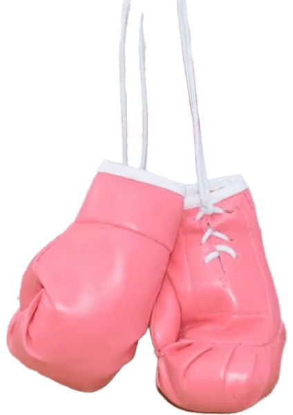 10CM Mini Boks Eldiveni Çanta Charm Pendan Anahtarlık Adam Boks Eldiveni Mücadele Anahtarlık Asmak Araba Boks Spor Kulübü Dekorasyon Süsler (Yurt Dışından)