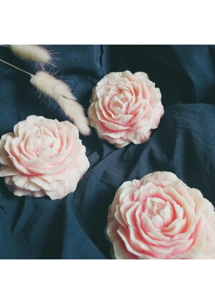 Pembe Şakayık Tasarım Nişan, Düğün,özel Gün Mum 20'li