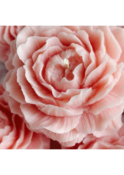 Pembe Şakayık Tasarım Nişan, Düğün,özel Gün Mum 20'li modelleri