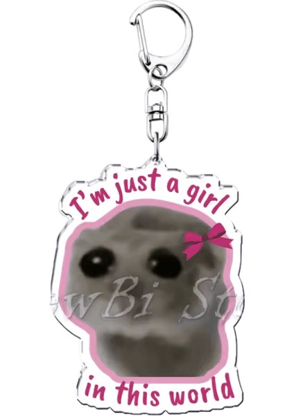 Eğlenceli Meme Im Sadece Bir Kız Üzgün Hamster Anahtarlık Anahtarlıklar Aksesuarlar Için Yüzük Çanta Komik Kolye Anahtarlık Takı Hayranları Hediyeler (Yurt Dışından)