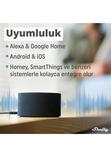Plus 1 Wi-Fi ve Bluetooth Akıllı Röle