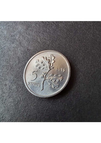 3996368014972802FF 1975 Alüminyum 5 Kuruş Çil Eski Madeni Para