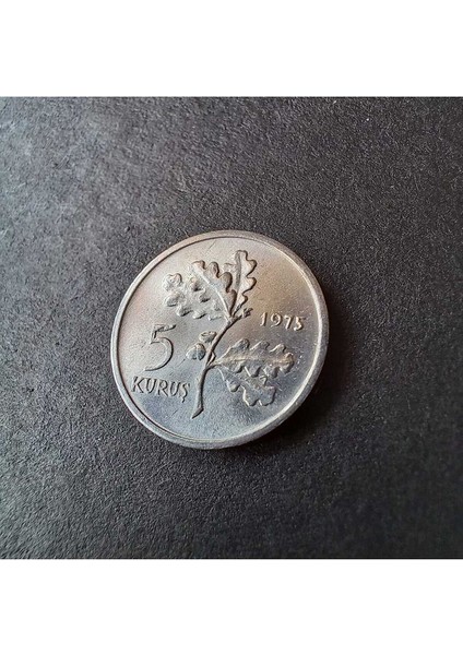 3996368014972802FF 1975 Alüminyum 5 Kuruş Çil Eski Madeni Para