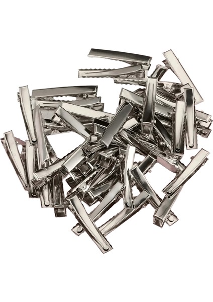 40PCS Metal Saç Timsah Klipler Duckbill Clip Kızlar Için 3,2cm Tek Çatal Timsah Saç Tokaları Saç Stili Araçları Accessoriescolor: 40PCS Gümüş (Yurt Dışından)