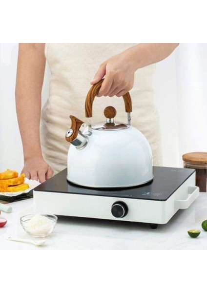 Beyaz Paslanmaz Çelik Demlik, Zarif ve Dayanıklı, 3L Hacim modelleri