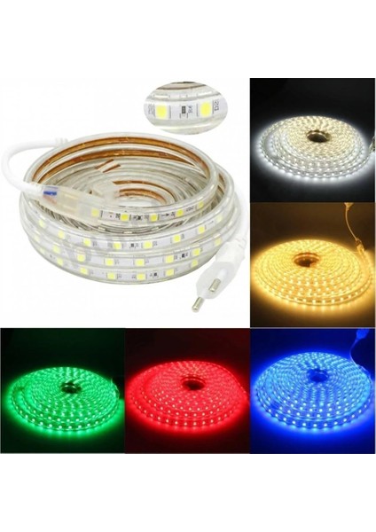 220 Volt Hortum Şerit LED Kırmızı Işık 1 Metre 220V LED Aydınlatma + Fiş(1m)