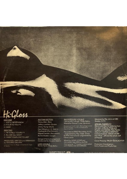 Hi-Gloss ‎– Hi-Gloss You'll Never Know Bu Albümde 1981 Baskı Lp