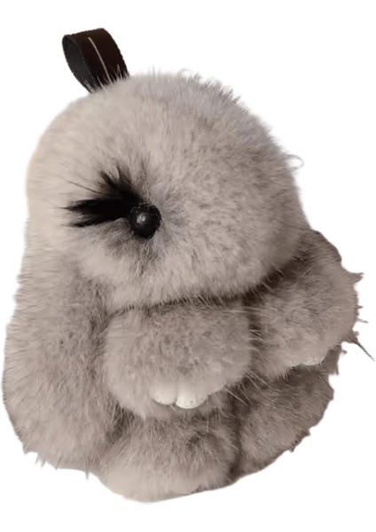 Sevimli Tavşan Gerçek Vizon Kürk Anahtarlık Yüzükler Doğum Günü Hediyesi Kız Aksesuarları Kadın Çanta Süsleri Biblolar Peluş Tavşan Kolye Araba Anahtarı Renk: Gri / Boyut: 8 cm (Yurt Dışından)