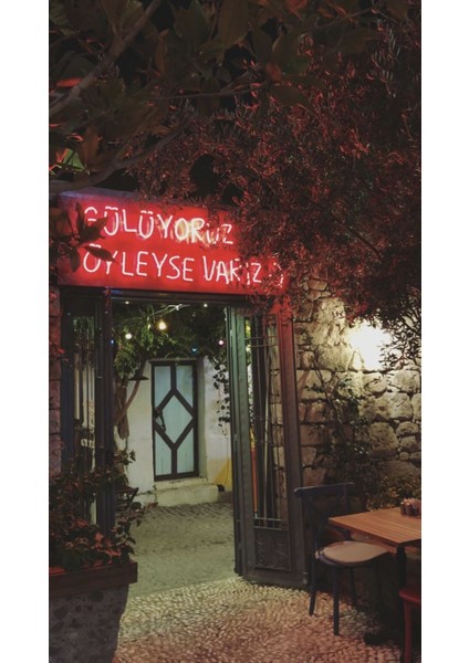 Neon LED Dekoratif Aydınlatma -Gülüyoruz Öyleyse Varız, 60X25CM-