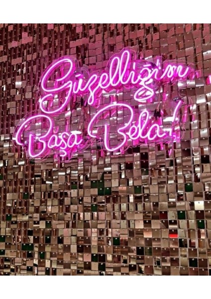 Neon LED Dekoratif Aydınlatma -Güzelliğim Başa Bela, 60X40CM-