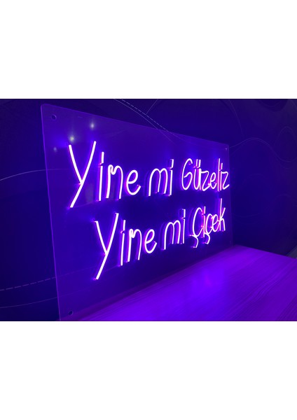 Neon LED Dekoratif Aydınlatma -Yine Mi Güzeliz Yine Mi Çiçek, 60X35CM-