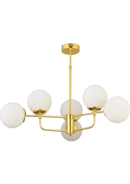6lı Gold 3554