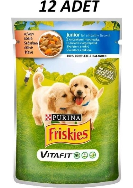 Juniortavuklu ve Havuçlu Yav. Köpek 100 G*12 Adet