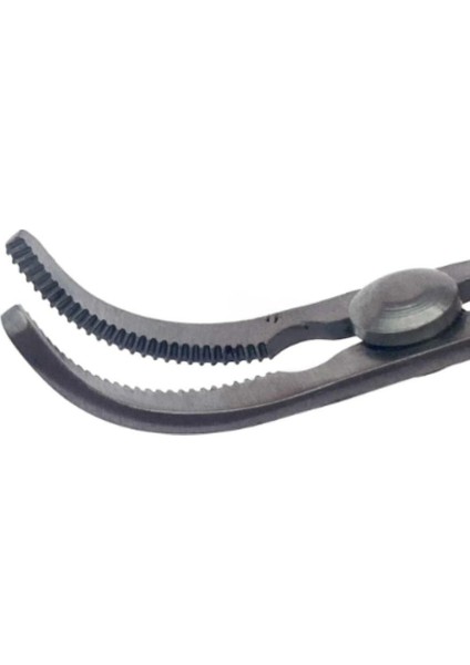 Bulldog Yaylı Klemp Eğri Uçlu 4cm Cerrahi Eğitim Materyali fiyatları