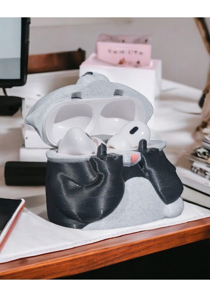 Kittycase 3D Kedi Tasarım Kulaklık Kutusu (3.nesil) fırsatları