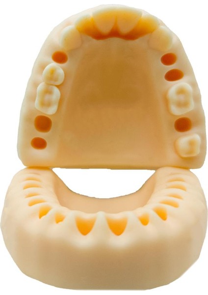 Silikon Çene Diş Dikiş Modeli Ortodontik Alt Üst Çene Periodontal Eğitim Modeli-4 modelleri