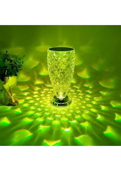 ® Balık Süzgeç Model USB Şarjlı Kumandalı 16FARKLI Işık Modlu Masa Üstü Kristal Akrilik LED