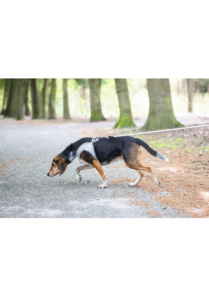 Köpek Göğüs Tasması, Neopren, Gri, M, 41-46cm indirimleri