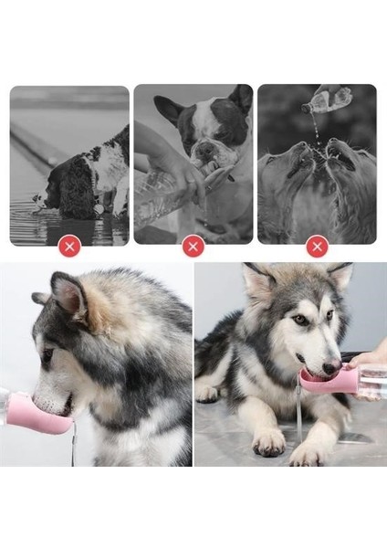 Buffer® Taşınabilir Mama Hazneli Evcil Hayvan Suluğu Seyahat Kabı Kilitlenebilen Su Sızdırmaz 380ML