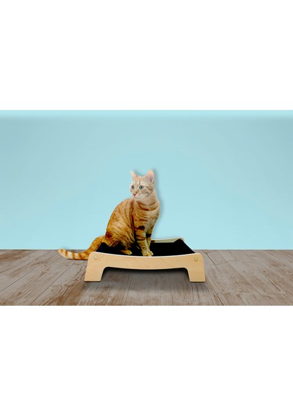 Kedi Yatağı fiyatları