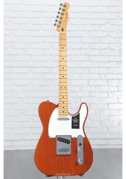 Player Iı Telecaster Chambered Mahogany Gövde Akçaağaç Klavye Mocha Elektro Gitar