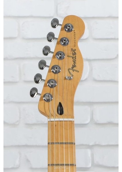 Player Iı Telecaster Chambered Mahogany Gövde Akçaağaç Klavye Mocha Elektro Gitar
