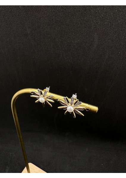 Ortası Incili Ithal Güneş Kadın Gümüş Küpe modelleri