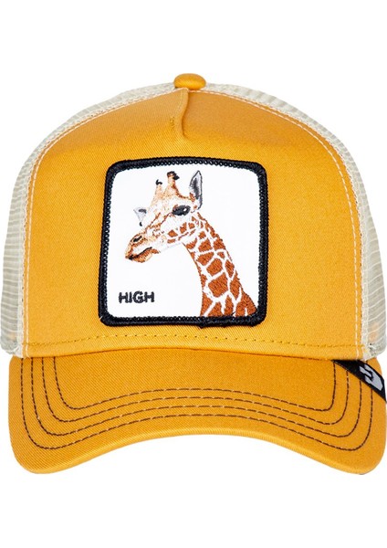 So High 101-0004