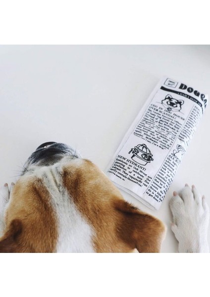 Hışırtılı Gazete Sesli Köpek Oyuncağı