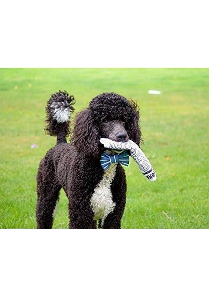 Hışırtılı Gazete Sesli Köpek Oyuncağı fiyatları