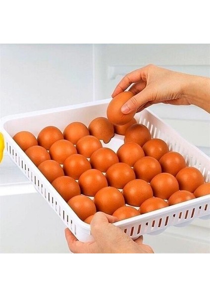 Buffer® 15LIYUMURTA Saklama Kabı