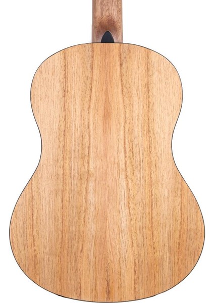 IC-100 4/4 Dna Klasik Gitar