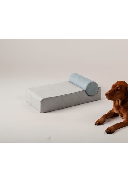 Şeker Kedi ve Köpek Yatakları