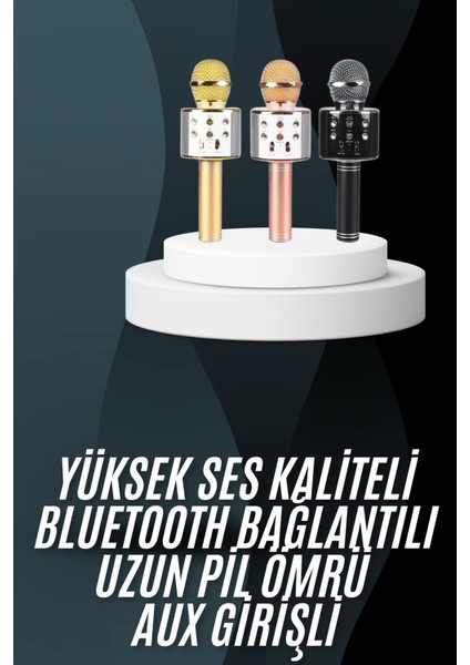 Teknorod Karaoke Mikrofon Bluetooth Bağlantılı Aux Girişli Uzun Pil Ömrü Yüksek Ses Kaliteli